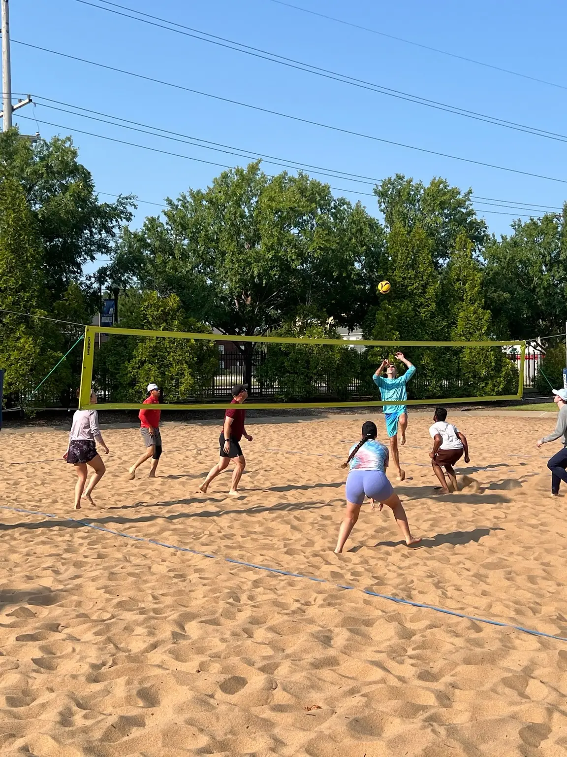 A Sandline team settles into serve receive as the ball crosses the court